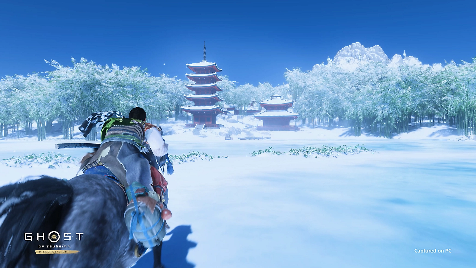 Ghost of Tsushima Screenshot 1