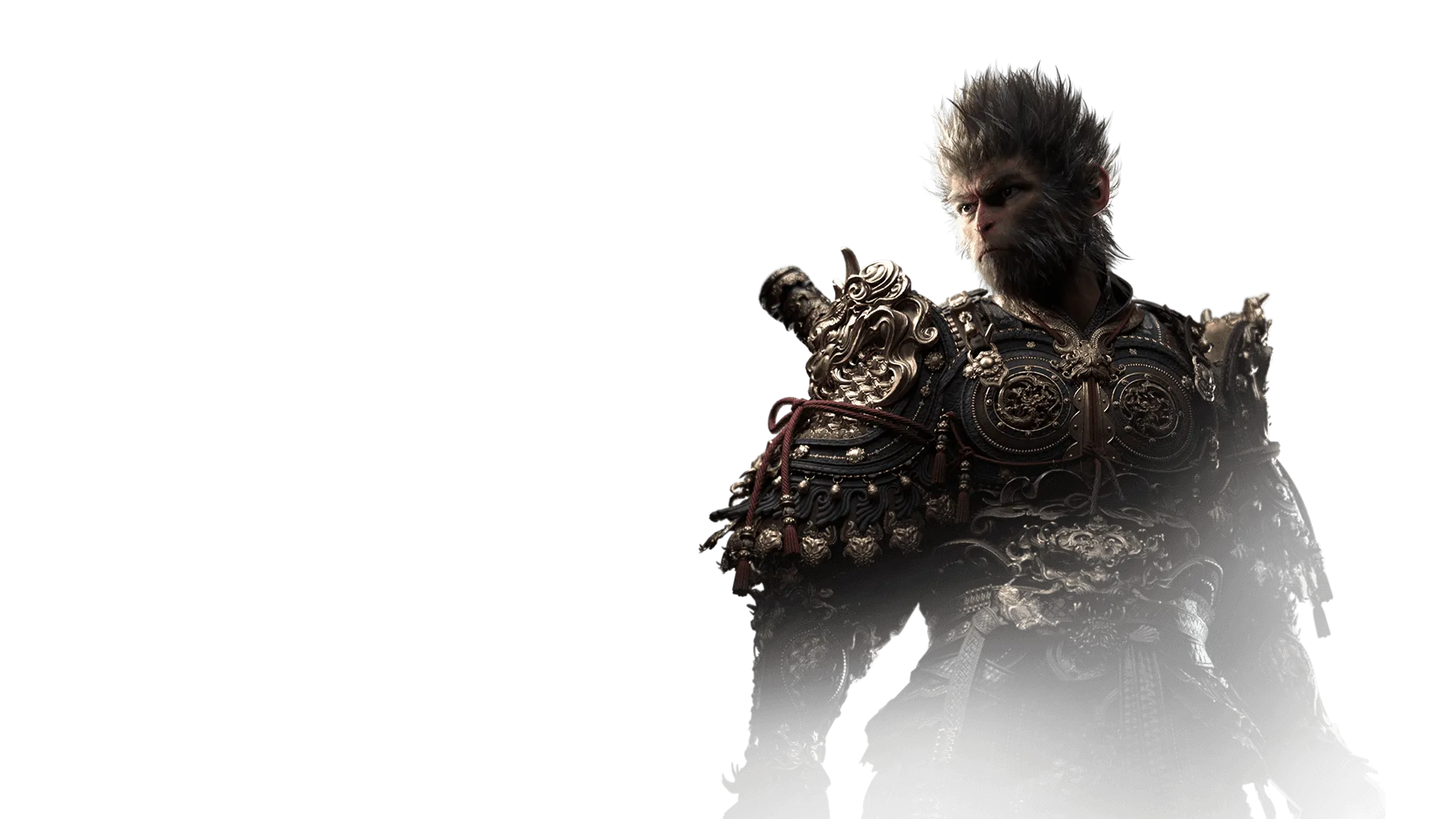 Black Myth Wukong Character